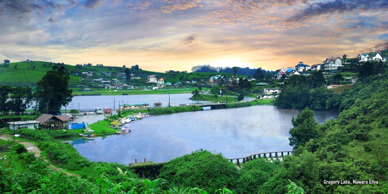 Готель Gregory Hills Нувара-Елія Екстер'єр фото